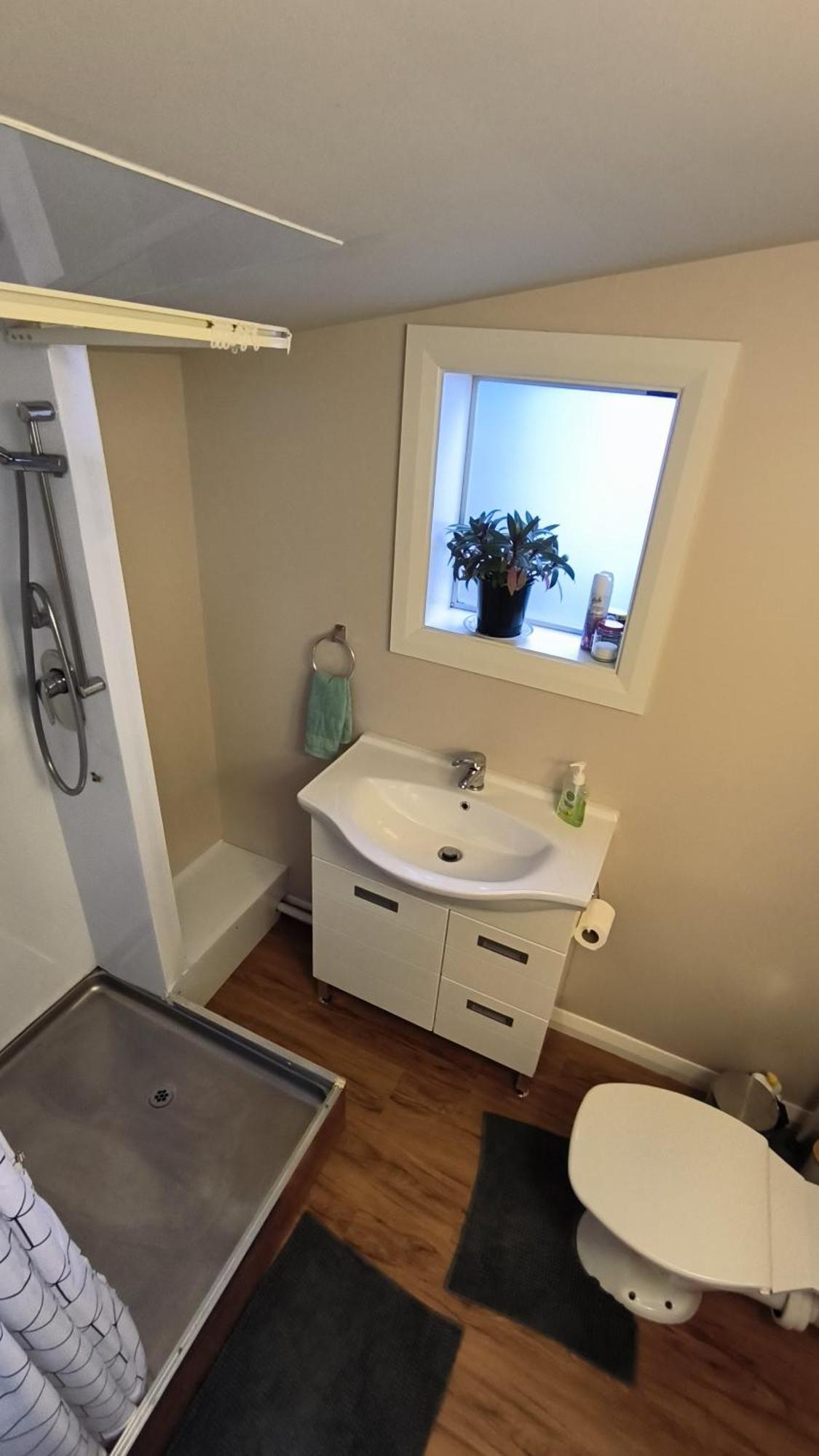 5 Large Bedroom Villas Suitable For 10People Christchurch Exterior photo